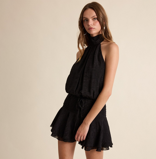 Fashion Halter Black Floral Embroidery Detailed Tie-Up Open Back Ruffle Mini Dress