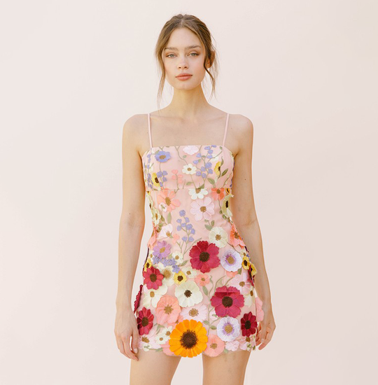 Fashion Pink Multi-Color Floral Embroidery Bodycon Strap Mini Dress