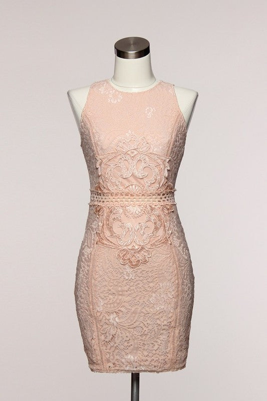 Blush Elegant Cocktail Dress